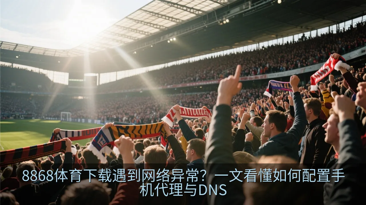 手机修改DNS界面示意图